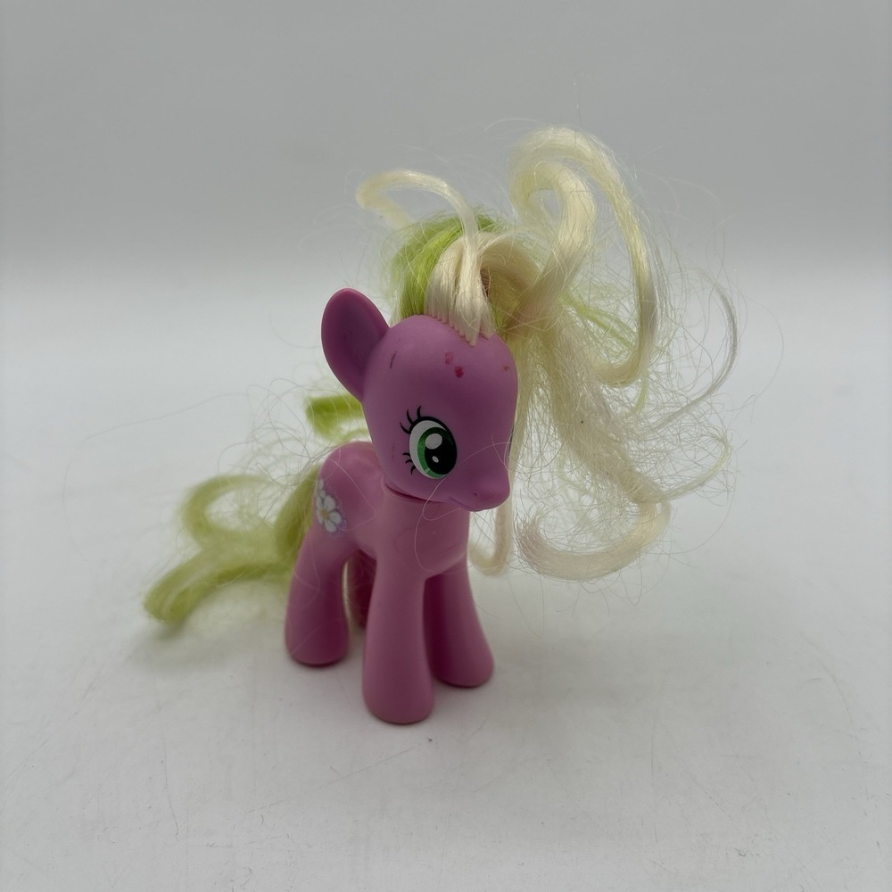 My Little Pony G4 Flower Wishes Toys R Us Excl‎ 2010 Pink Green Brushable Hair